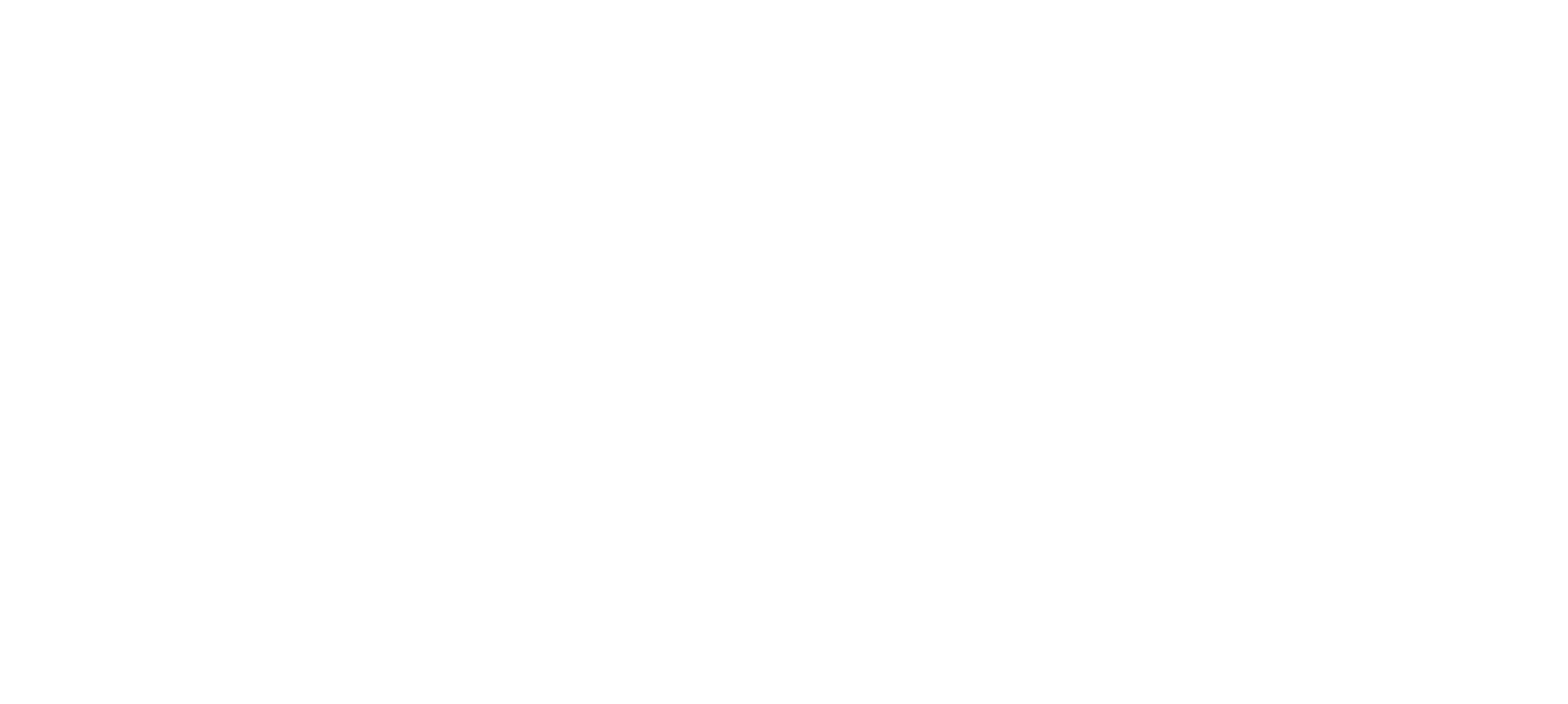 WhiteCPAREVLOGO CPA Masterclass
